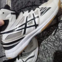 کفش|کیف، کفش، کمربند|آشخانه, |دیوار