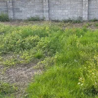 ۳۱۰ متر زمین مسکونی سندار