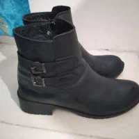 پوتین درحدنو