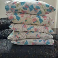 پر مرغ مختلط رنگی ،سفید