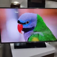 تلویزیون هوشمند 43 ال جی