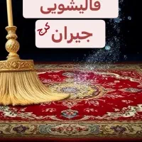 قالیشویی جیران (با30 درصد تخفیف)|خدمات نظافت|کرج, گلشهر|دیوار