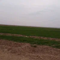 زمین کشاورزی،پنج هکتار،با سهمیه آب،معاوضه یا تهاتر|فروش دفتر صنعتی، کشاورزی، تجاری|آبیک, |دیوار