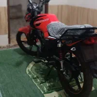 کواکس شکاری 150