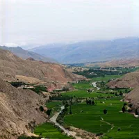 باغ گیلاس زمین  ۶۰۰۰ متری|فروش دفتر صنعتی، کشاورزی، تجاری|تهران, پاسداران|دیوار