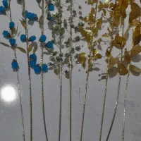 گل طلایی|گل مصنوعی|تبریز, |دیوار