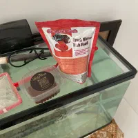 آکواریوم|ماهی|مشهد, کارمندان دوم|دیوار