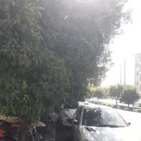 تنظیم موتوری وحید ایرانی خارجی روشن کردن|خدمات موتور و ماشین|شیراز, اصلاح‌نژاد|دیوار