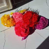 گل روبانی ابدی