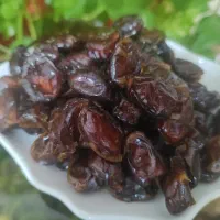 خرمای کبکاب دشتستان