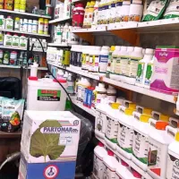 سم پاشی منازل شما با نازل ترین قیمت|خدمات نظافت|نیشابور, پنجراه|دیوار