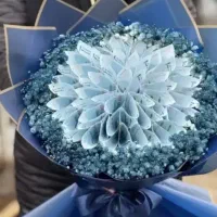 گل روبانی|گل مصنوعی|ایرانشهر, |دیوار