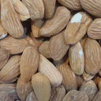خرید انواع بادام