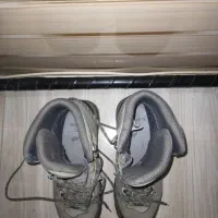 کتونی|کیف، کفش، کمربند|بهارستان, |دیوار