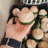 ماست خوری سفالی|صنایع دستی و سایر لوازم تزئینی|قم, زاویه|دیوار