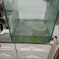 اکواریوم وماهی و پمپ و....|ماهی|همدان, |دیوار