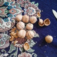 گردومغزپر|حراج|نهاوند, |دیوار