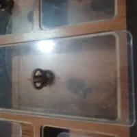 ظرف چوبی نگهدارنده قند و شکلات و میوه خشک|صنایع دستی و سایر لوازم تزئینی|اردبیل, |دیوار