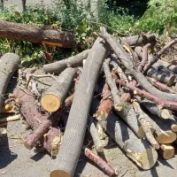 خرید و برش چوب تروخشک