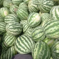 هندوانه