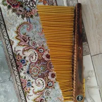ساز سالم . تنه چوب .