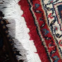 دستباف همدان گوشت دار ۶ متری ریشه ها پلمپ|فرش|تهران, سیروس|دیوار