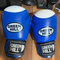 دو جفت دستکش بوکس و کیک بوکسینگ