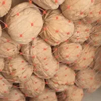 فروش عمده گردو پوست کاغذی چندلرکیلو 550