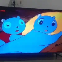 تلویزیون جی پلاس۵۰ اینچ هوشمند اسمارت فورکی