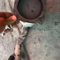 ضایعات کاتالیزور و آلومینیوم|عمده‌فروشی|کرمان, |دیوار