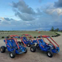 ماشین باگی آفرود ساحلی چهار چرخ صحرا کویر شهربازی