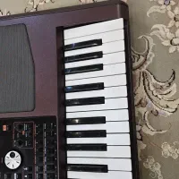 ارگ pa1000|پیانو، کیبورد، آکاردئون|ابریشم, |دیوار
