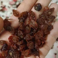 کشمش درگز|خوردنی و آشامیدنی|مشهد, شهرک امام هادی (شهرک غرب)|دیوار