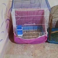 دو عدد قفس پرنده نیروی دریایی نارمک