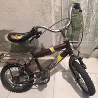 دو عدد دوچرخه