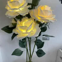 ضامن