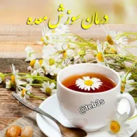 کار در منزل برای افراد تحصیلکرده ولیسانس انلاین|استخدام بازاریابی و فروش|مشهد, گلبرگ شمالی|دیوار
