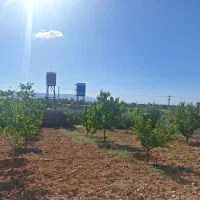 زمین باغشهری کودیان قره چمن