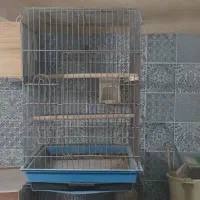 قفس عروس هلندی بزرگ کامل