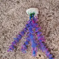 اکواریوم ماهی ۷۲ لیتری|ماهی|رودسر, |دیوار