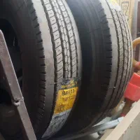 لاستیک بلک لاین