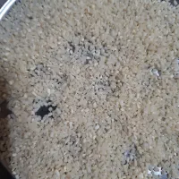 برنج نیم دانه هاشمی