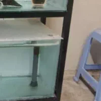 آکواریوم