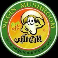 بسته بندی اقا