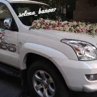 ماشین عروس/دسته گل/گل آرایی در محل/ تاج گل|خدمات پذیرایی، مراسم|تهران, آهنگ|دیوار