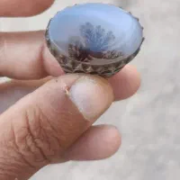 سلام یک شجر ه تک درخت عقیق عتیقه|جواهرات|رفسنجان, |دیوار