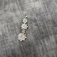 سرویس نقره