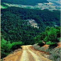 همسفر طبعیت گرد|فعالیت داوطلبانه|رشت, کوی مهر|دیوار