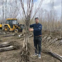 نهالستان باغ نهال