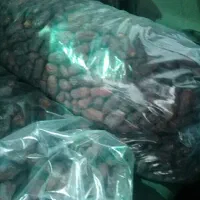کاردر منزل بیتجربه خرمامیدم شیره کن ماهی۲۰تمن